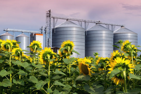 Parcours Silo