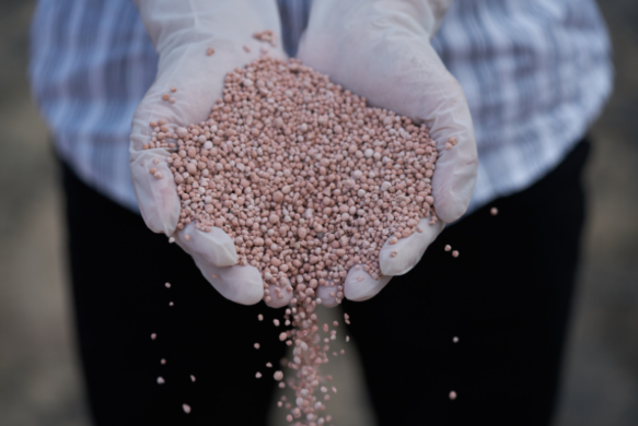 Optimisation du séchage et de la conservation des grains en production céréalière