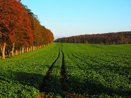 Agro-écologie - Changement climatique