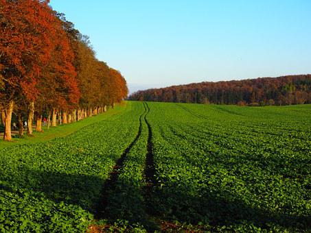 Productions agricoles intégrées et enjeux environnementaux